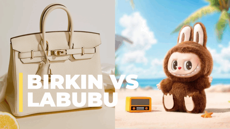 Birkin vs Labubu